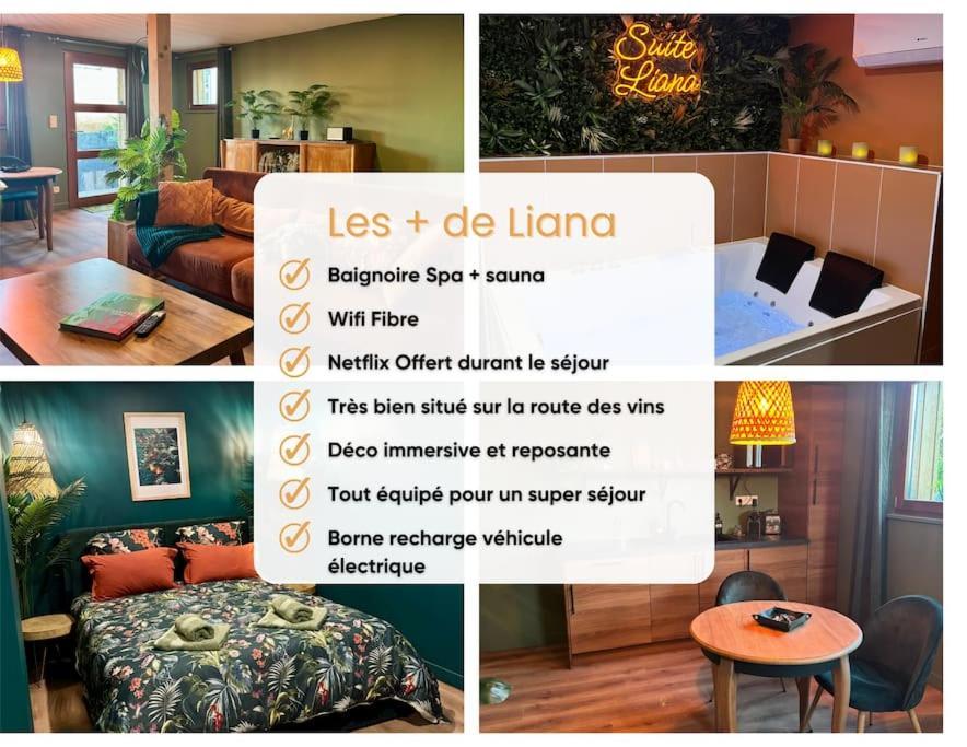 Suite Liana - Spa- Sauna Rorschwihr Extérieur photo